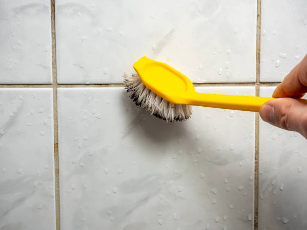  Jasper, AL Mold Removal Pros